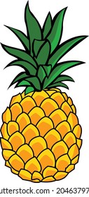 yellow pineapple vector for illustration