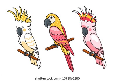 Yellow and pink cockatoos, macow. Cute tropical birds. Vector illustration.