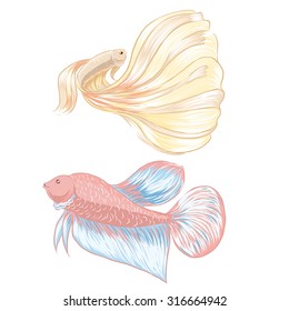 yellow and pink fish, Siamese fighting fish vector
