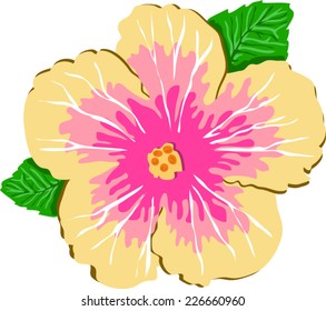 yellow and pink flower