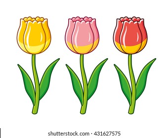 Yellow, pink and red tulips isolated.