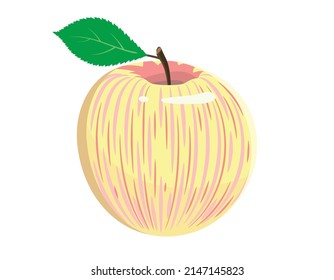 manzana vector rosa amarillo. Frutos jugosos aislados en el fondo blanco