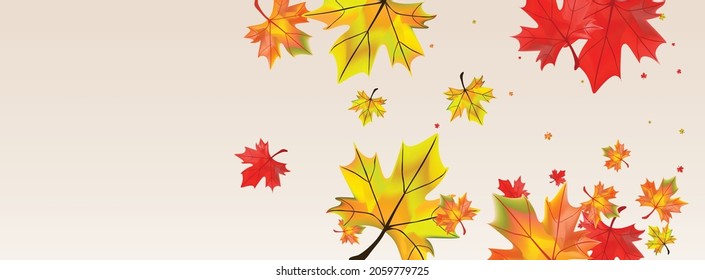 Gelbe Pflanze Hintergrund BeigeVektorgrafik. Illustration des Foliage September. Farbige Saisonleaf. Die Dekoration hinterlässt Textur.