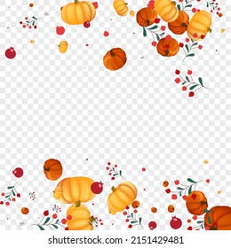 Yellow Plant Background Transparent Vector. Burgundy Autumn Border. Gold Rowan Pumpkins Template. Gourd Park. Farm Banner.