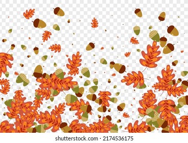 Yellow Plant Background Transparent Vector. Leaf Collection Texture. Gold Oak. Drawn Set. Red Acorn Paper.