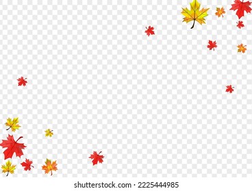 Vector transparente de fondo de planta amarilla. Diseño De Volante De Foliage. Hoja de papel rojo. Textura Floral Realista.