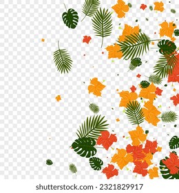 Yellow Plant Background Transparent Vector. Monstera Rainforest Card. Orange Flower. Graphic Backdrop. Green Spring Texture.