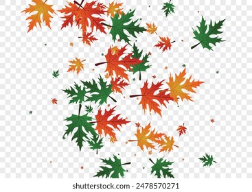 Yellow Plant Background Transparent Vector. Maple November Pattern. Red Shape. Tree Illustration. Colorful Leaves Flying.