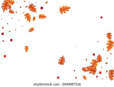 Yellow Plant Background White Vector. Leaf Drawn Set. Gold Oak. Art Texture. Orange Acorn Landscape.