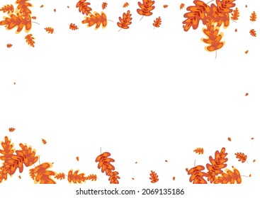 Yellow Plant Background White Vector. Acorn Wood Set. Red Leaf. Silhouette Illustration. Golden Oak School.