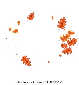 Vector blanco de fondo de planta amarilla. Deja El Diseño De Gradación. Roble naranja. Marco natural. Brown Leaf Woods.
