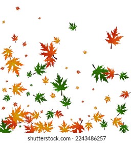 Yellow Plant Background White Vector. Maple Down Pattern. Brown Season. Realistic Design. Orange Leaves Isolated.