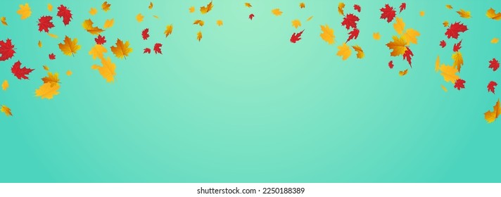 Yellow Plant Vector Blue Panoramic Background. Ground Leaves Illustration. Green September Foliage Frame. Decor Design.