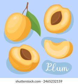 Yellow plum. Half, slice and whole. Fresh, ripe, orange fruit. Ingredient for cooking. Vector illustration.	