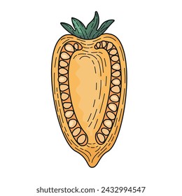 A yellow plum-shaped tomato. A slice of tomato with pulp and seeds. Slicing a vegetable. An ingredient for salads and vegetarian dishes. Illustrations for recipes and cookbooks. Vector illustration