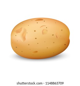 Yellow potato mockup. Realistic illustration of yellow potato vector mockup for web design isolated on white background