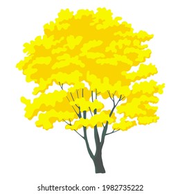 yellow pouri tree vector isolate bright colorful tree illustration