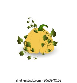 Yellow pumpkin with green leaves and a shadow on a white background. Vector image.