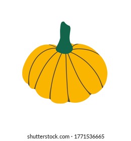 Yellow pumpkin isolated on a white background . Pumpkin for Halloween and thanksgiving day design. Organic autumn vegetables. vector flat illustration