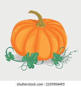 yellow pumpkin with leaves, vegetable icon