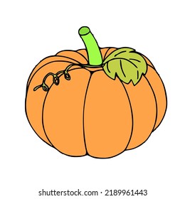 Yellow Pumpkin on a white background . vecktor