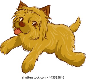 a yellow puppy