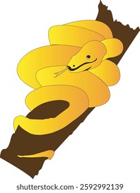 yellow python wrapped around  a old broken tree buck