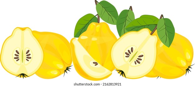 Yellow quince fruits (whole and half cut) with green leaves isolated on white background