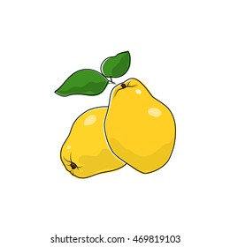 Yellow Quince Isolated on White Background, Tropical Fruit Quince , Vector Illustration 