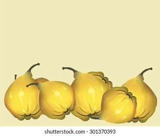  Yellow quinces. Vector