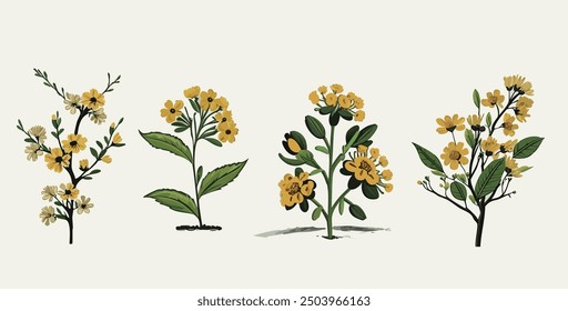 Yellow Racemose Inflorescences Vector Set. set watercolor flowers, color yellow very detailed, which is suitable for white background wedding templates