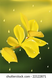 yellow rain and yellow orchid