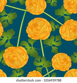 Yellow Ranunculus Flower on Indigo Blue Background. Vector Illustration.