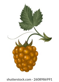 yellow raspberry with leaf on white background