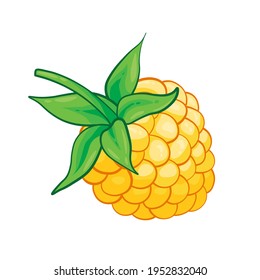 Yellow raspberry sweet fruit illustration for web isolated on white background