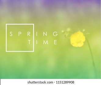 Yellow realistic vector flower on green blur background