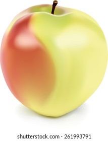 yellow and red apple with mesh gradient