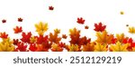 Yellow and red autumn leaves float gently on a white background, creating a serene and seasonal design perfect for fall-themed projects and backgrounds.