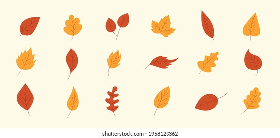 Yellow and red autumn leaves on a separate background. Design elements. Nature, forest items. Vector autumn elements.