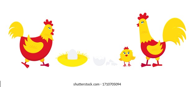 Yellow and red chicken with broken egg, nest, rooster cock and little chick flat style design vector illustration. Chicken farming poultry icon signs. Domestic birds isolated on white background.