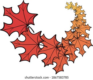 Yellow and red fallen autumn maple leaves on transparent background