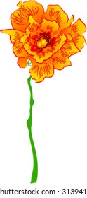 yellow red flower
