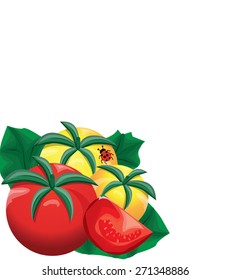 Yellow and red  fresh  tomatoes