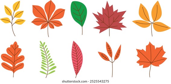 Yellow and red leaves set. Natural floral foliage