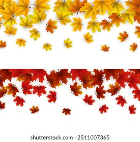 Hojas de arce amarillo y rojo formando un patrón con bordes superiores e inferiores distintos sobre un fondo blanco, perfecto para proyectos de diseño estacionales.
