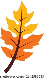 Yellow and red oak leaf vector with detailed veins, ideal for seasonal crafts, greeting cards, invitations, scrapbooking, posters, and Thanksgiving-themed decorations.

