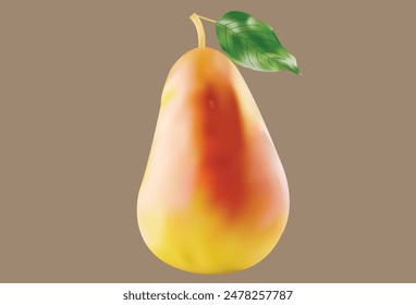 Yellow And Red Pears Vector Illustration