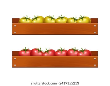 Yellow and red tomatoes in wooden boxes. Vector realistic 3D illustration.