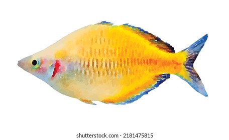 Yellow reef fish vector isolated on white background Exotic wildlife Oceanic watercolor illustration Marine clipart for greeting cards or logo design