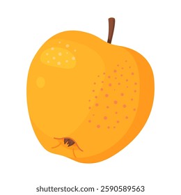 Yellow ripe apple, fresh garden fruit. Hand drawn food clipart. Whole fruit Flat style isolated on transparent background. Golden Delicious Vector illustration